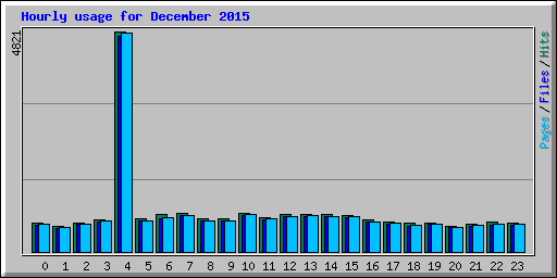 Hourly usage for December 2015