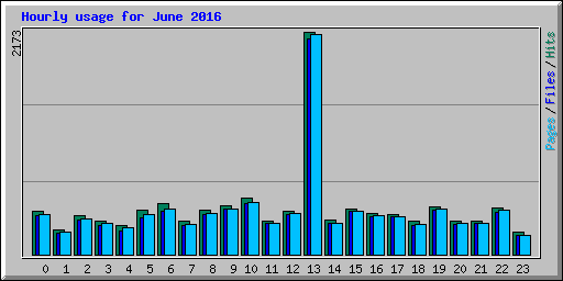 Hourly usage for June 2016