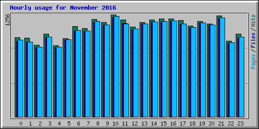 Hourly usage for November 2016