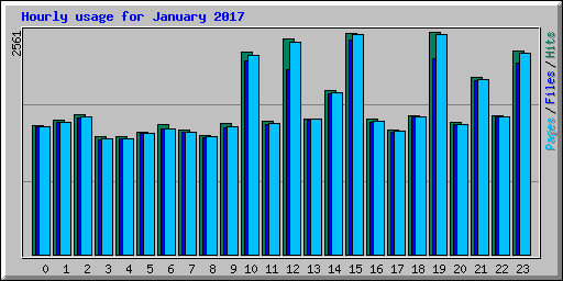 Hourly usage for January 2017