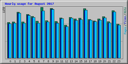 Hourly usage for August 2017